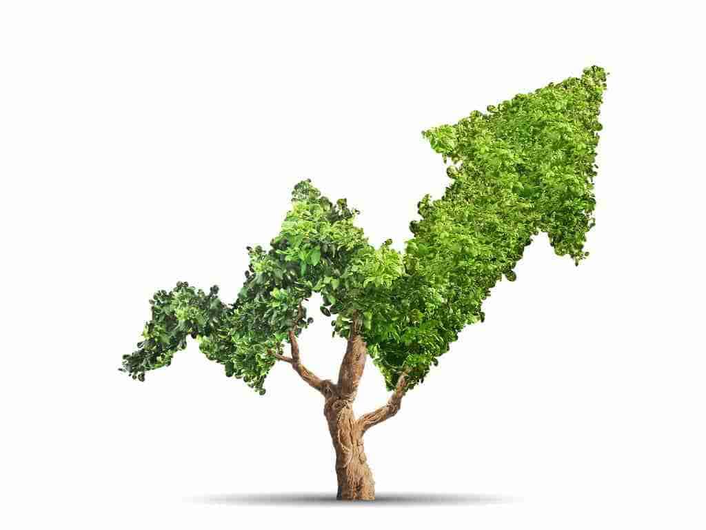 Ökologisch ethische Finanzanlage