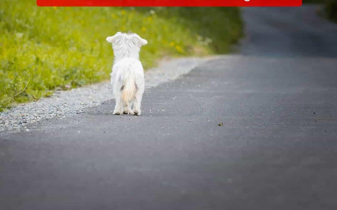 , Wartezeiten bei Versicherungen – Warum, wann und wie lange?, Cologne Insurance - Versicherungsmakler & Versicherungsberater in Köln, Leverkusen, Opladen, Burscheid, Odenthal, Kürten, Lindlar, Bergisch Gladbach, Bensberg, Refrath, Engelskirchen, Rösrath, Overath, Lohmar, Troisdorf, Siegburg, Hennef, Niederkassel, Wesseling, Brühl, Erftstadt, Hürth, Frechen, Kerpen, Bergheim, Pulheim,...