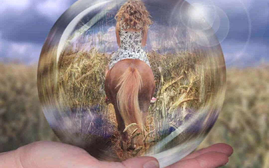 , Haftung: Wenn die Reitbeteiligung verunglückt, Cologne Insurance - Versicherungsmakler & Versicherungsberater in Köln, Leverkusen, Opladen, Burscheid, Odenthal, Kürten, Lindlar, Bergisch Gladbach, Bensberg, Refrath, Engelskirchen, Rösrath, Overath, Lohmar, Troisdorf, Siegburg, Hennef, Niederkassel, Wesseling, Brühl, Erftstadt, Hürth, Frechen, Kerpen, Bergheim, Pulheim,...