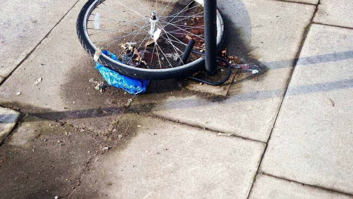 , Praxistipp: Hausratversicherung – Fahrraddiebstahl, Cologne Insurance - Versicherungsmakler & Versicherungsberater in Köln, Leverkusen, Opladen, Burscheid, Odenthal, Kürten, Lindlar, Bergisch Gladbach, Bensberg, Refrath, Engelskirchen, Rösrath, Overath, Lohmar, Troisdorf, Siegburg, Hennef, Niederkassel, Wesseling, Brühl, Erftstadt, Hürth, Frechen, Kerpen, Bergheim, Pulheim,...