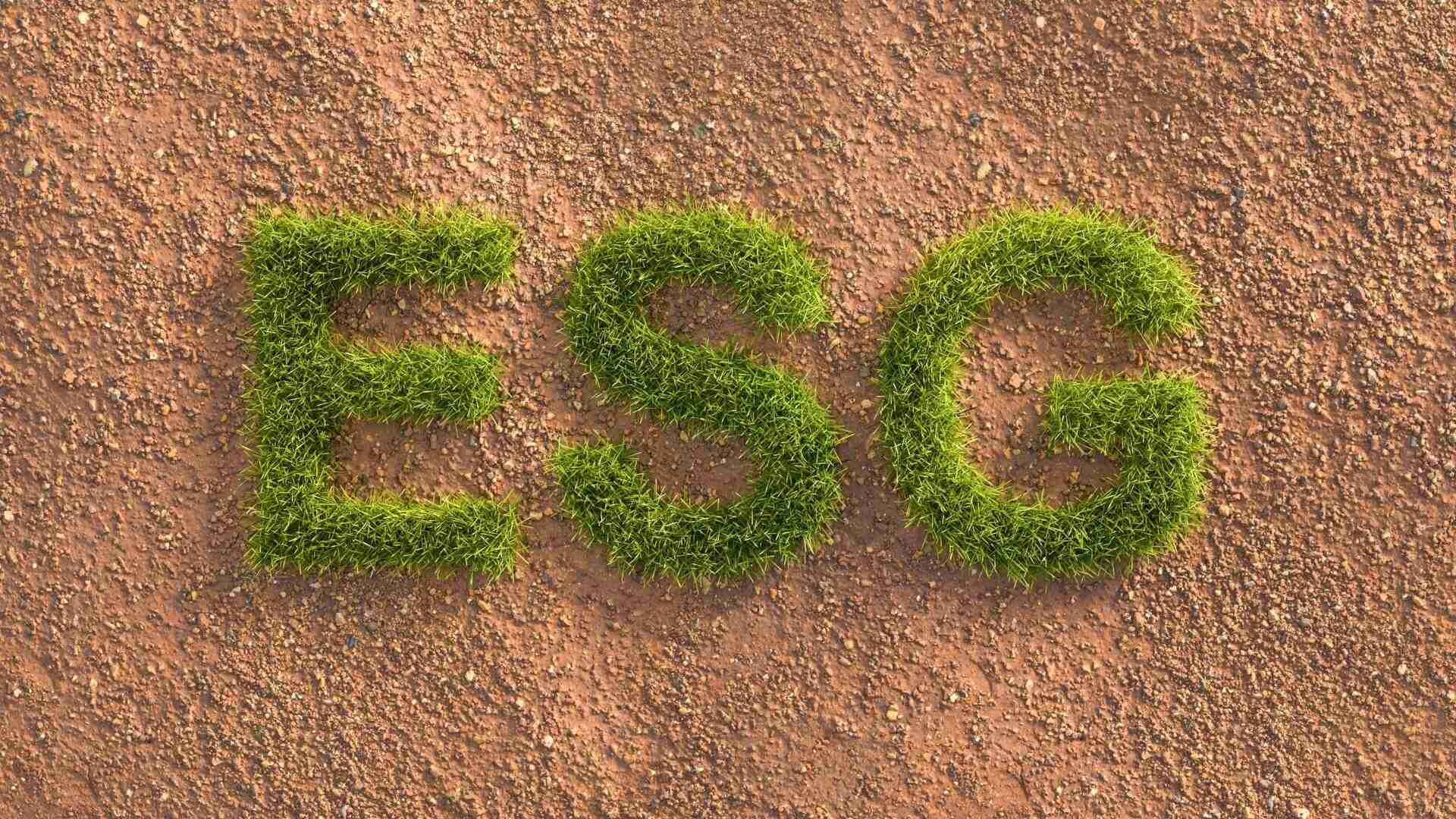 Buchstaben ESG aus grünem Gras auf einer braunen Erdoberfläche angeordnet.