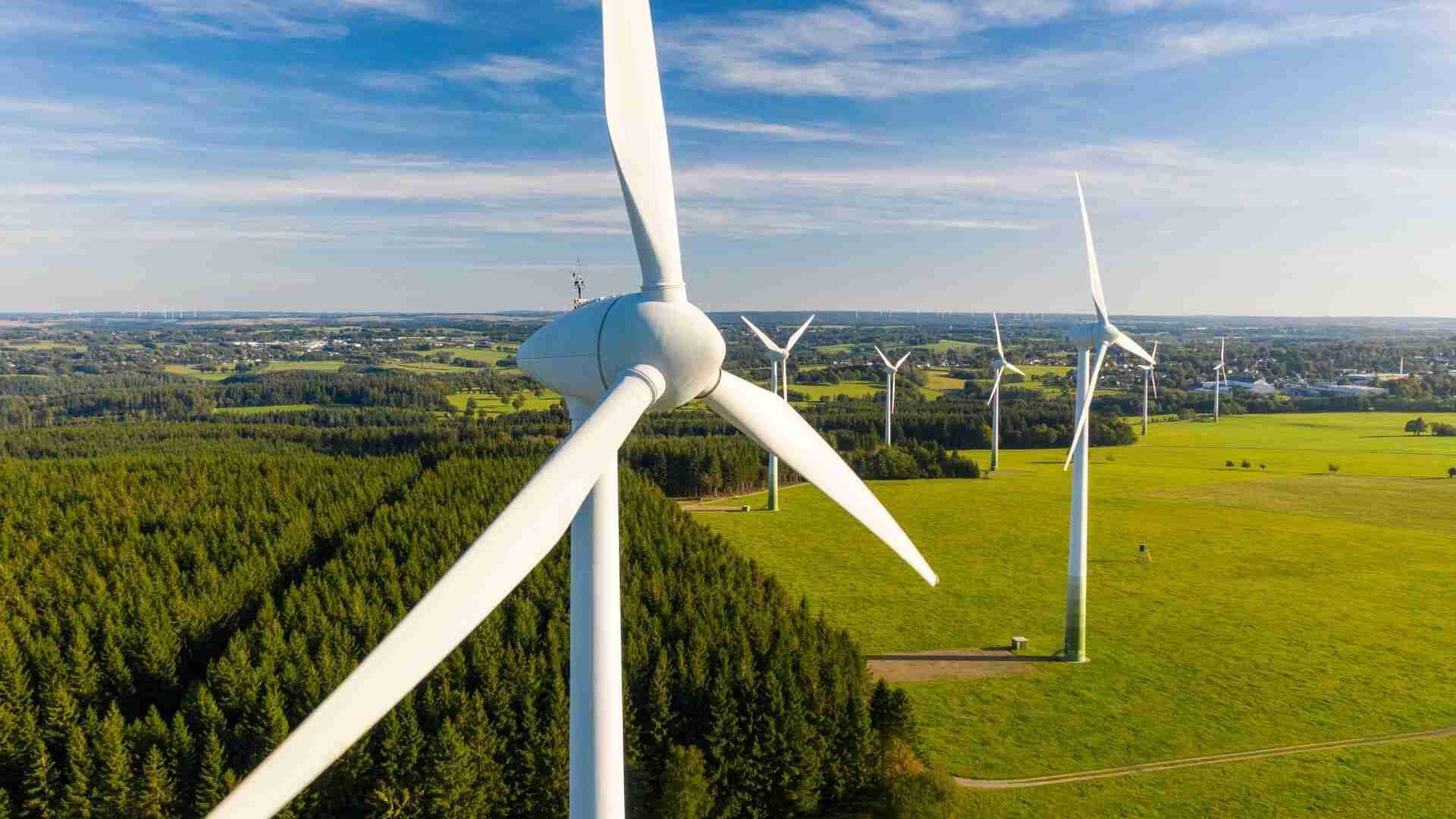 Windkraftanlagen auf einem Feld mit Bäumen und Wiese im Hintergrund.