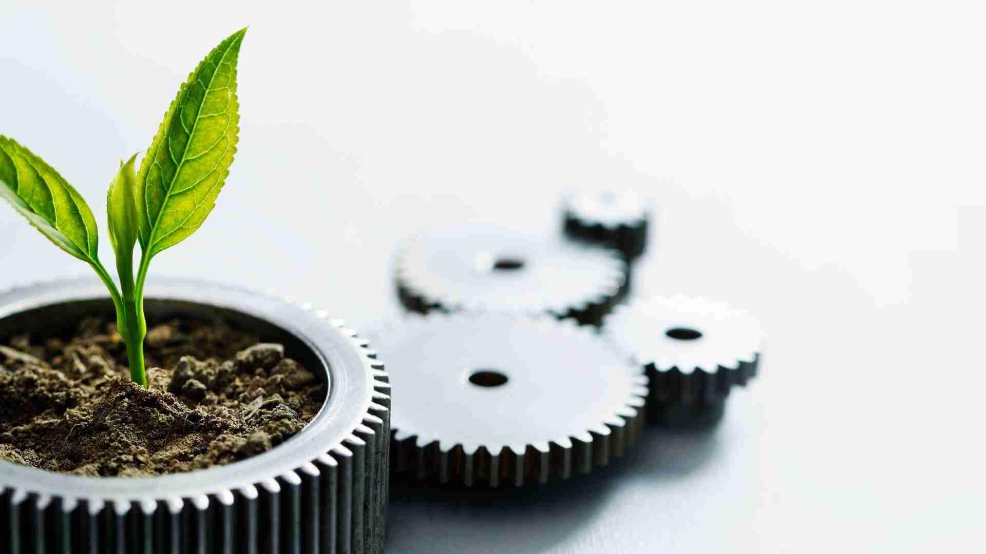 Eine kleine Pflanze wächst aus einem Zahnrad, das mit Erde gefüllt ist, während weitere Zahnräder im Hintergrund sichtbar sind.