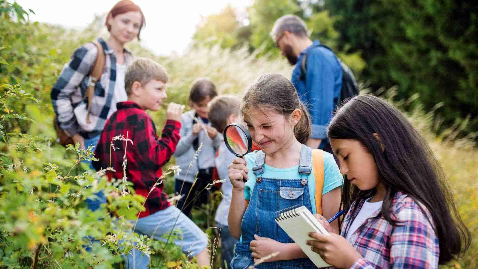 Sechs Kinder und zwei Erwachsene in einem Feld, während sie die Natur erkunden und Notizen machen.