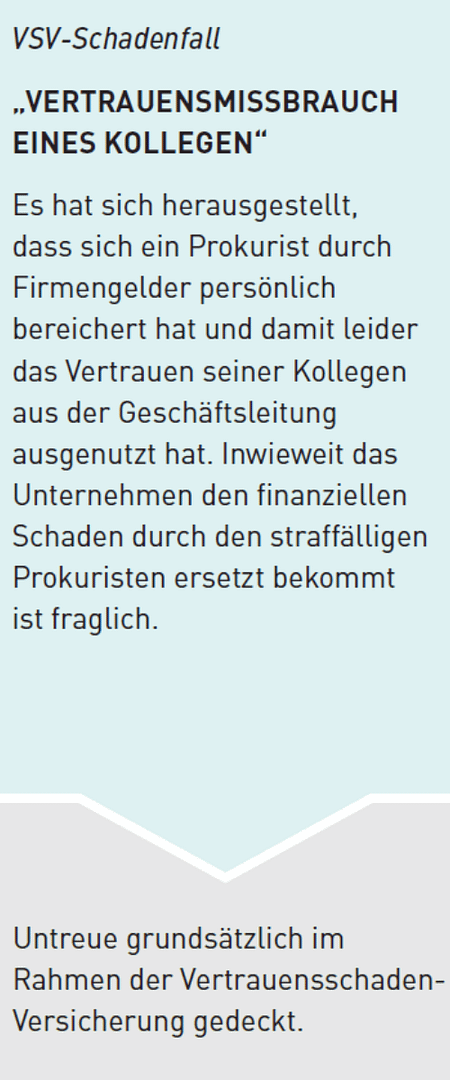 Text über Vertrauensschadenversicherung und Missbrauch durch Kollegen in einem Dokument.
