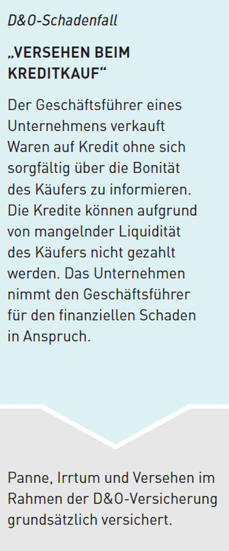 Text über D&O Schadenfall mit Informationen zum Kreditkauf und Unternehmensverantwortung.