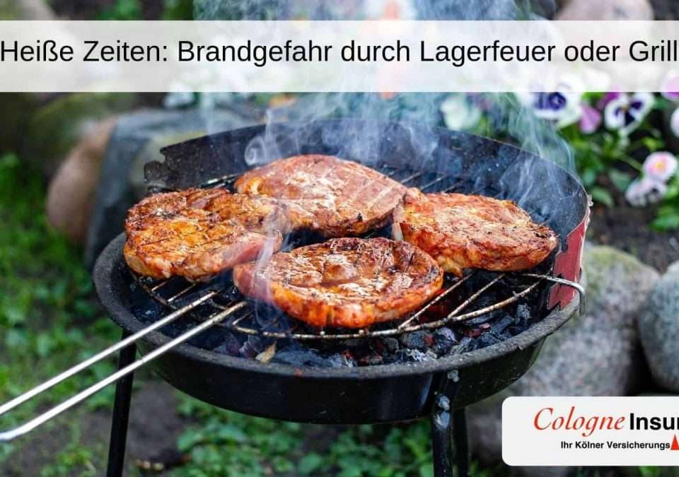 Mariniertes Fleisch auf einem Holzkohlegrill mit Rauchentwicklung.