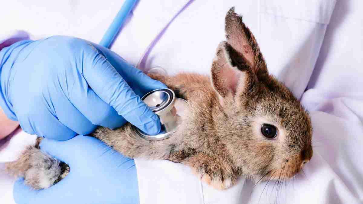 Betriebliche Krankenversicherung, Betriebliche Unfallversicherung, Gewerbliche Gebäudeversicherung, Gewerbegebäudeversicherung, Betriebshaftpflicht, Betriebshaftpflichtversicherung, Berufshaftpflicht, Berufshaftpflichtversicherung, Vermögensschadenhaftpflicht, Vermögensschadenhaftpflichtversicherung, D&O, Directors & Officers, D&O Versicherung, Flottenversicherung, Transportversicherung, Betriebsausfallversicherung, Betriebsunterbrechungsversicherung, Praxisausfallversicherung, IT-Haftpflicht, IT-Haftpflichtversicherung, Cyberversicherung, Firmenrechtsschutz, Firmenrechtsschutzversicherung, Versicherung Cyberangriff, Geschäftsinhaltsversicherung, Betriebsinhaltsversicherung, Elektronikversicherung, Produkthaftpflichtversicherung, Produkthaftpflicht, Rückrufkostenversicherung, Maschinenbruchversicherung, Gebäudeversicherung Gewerbe, Gebäudeversicherung Unternehmen, Gewerbliche Gebäudeversicherung, Glasversicherung Gewerbe, Gewerbliche Glasversicherung, Glasbruchversicherung Gewerbe, Frachtführerversicherung, Betriebliche Unfallversicherung, Betriebliche Krankenversicherung, Betriebliche Altersvorsorge, Betriebliche Pflegeversicherung, Keyman Versicherung, Teilhaberversicherung, Praxisausfallversicherung, Flottenversicherung