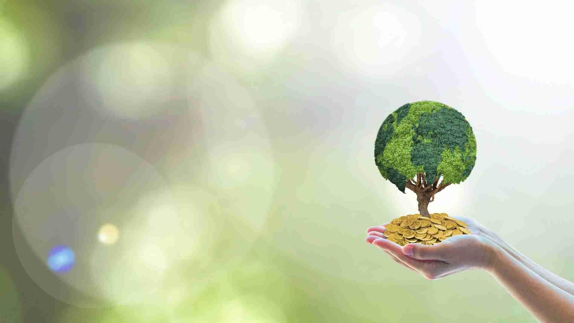Eine Hand hält einen Baum aus Grünpflanzen, der auf einem Haufen Münzen steht.