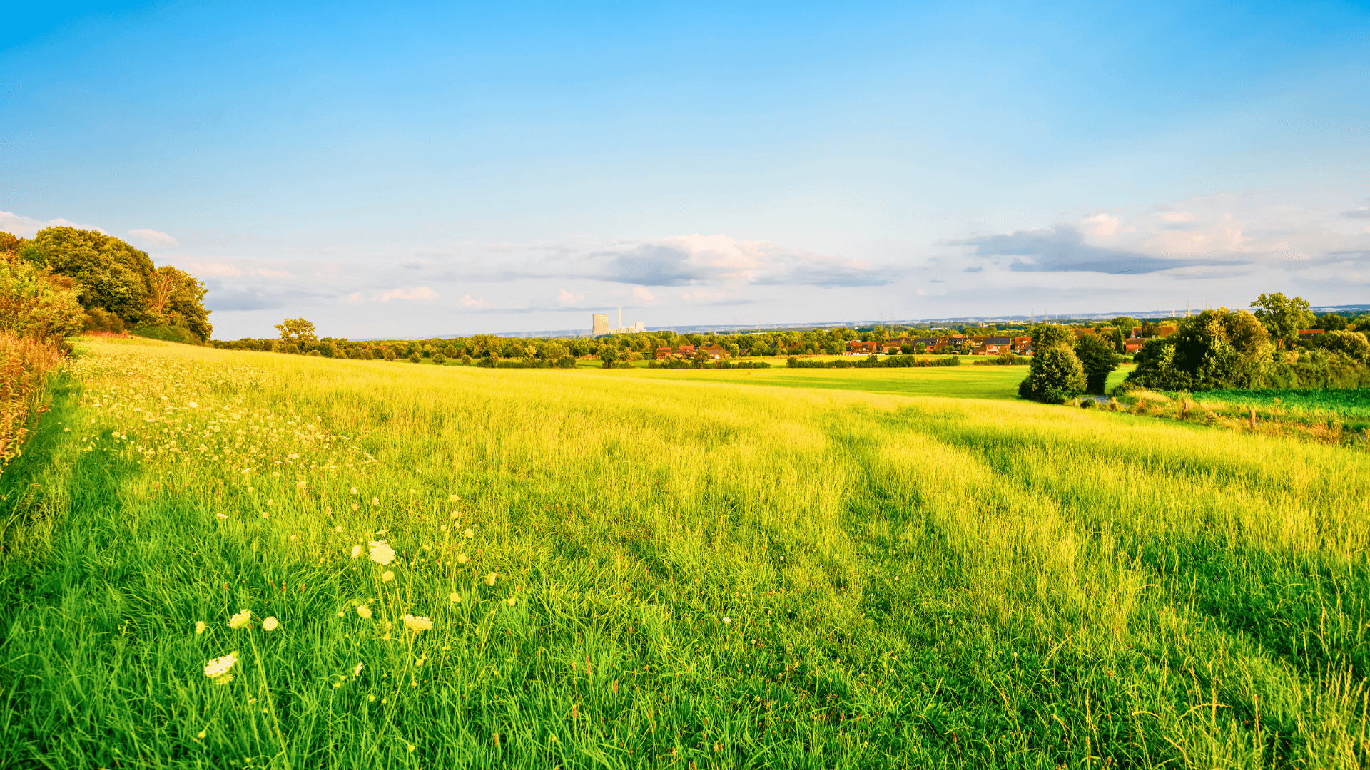 Weite grüne Wiese mit sanften Hügeln und vereinzelten Bäumen unter einem blauen Himmel.