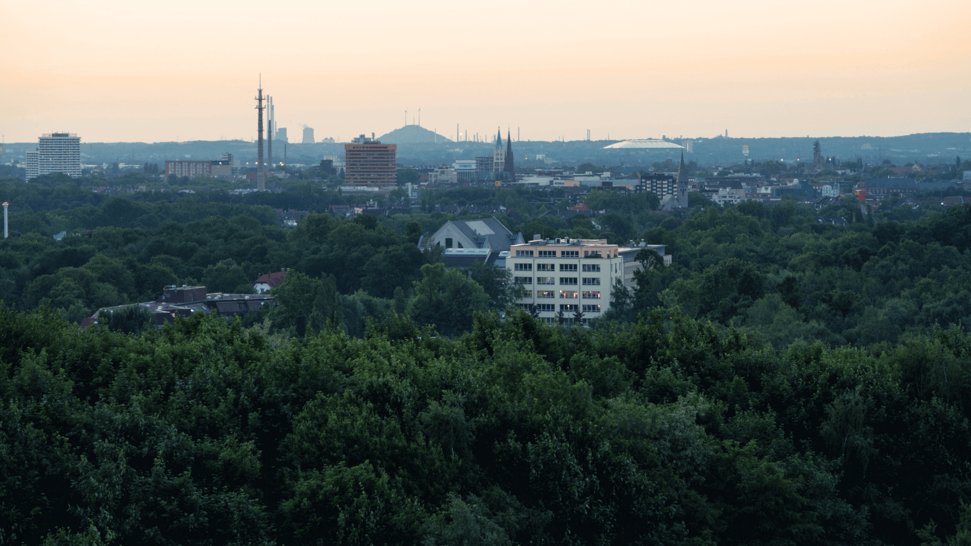 Blick auf die Stadt Gelsenkirchen mit Gebäuden und Bäumen im Vordergrund.