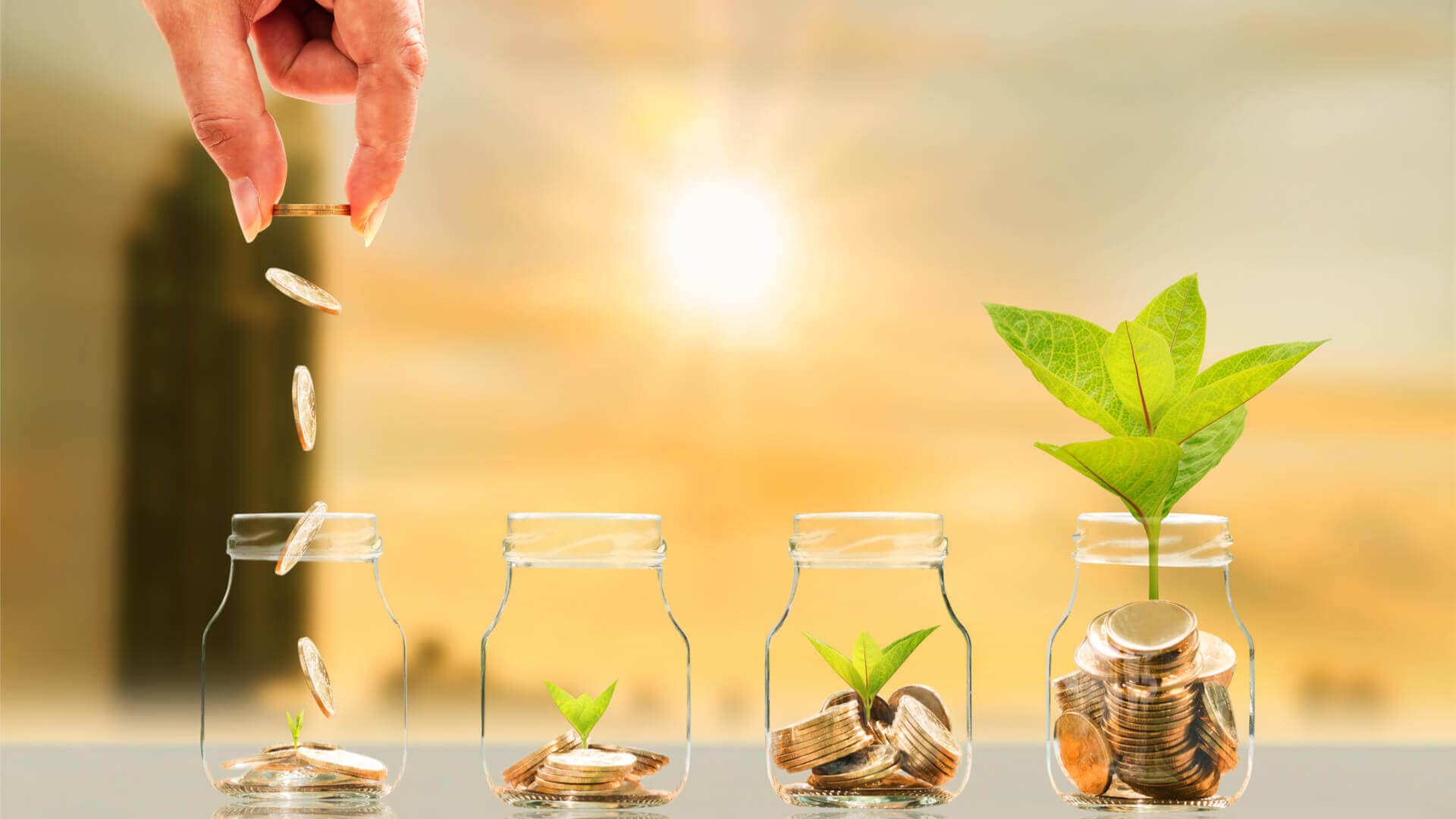 Nachhaltigkeit bei Cologne Insurance – Ihrem Kölner Versicherungsmakler und Finanzberater