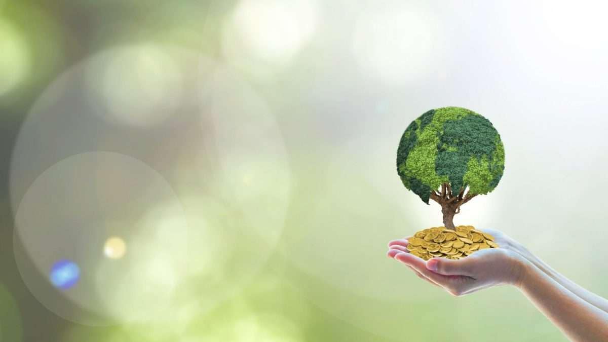 Eine Hand hält einen Baum aus Grünpflanzen, der auf einem Haufen goldener Münzen steht.