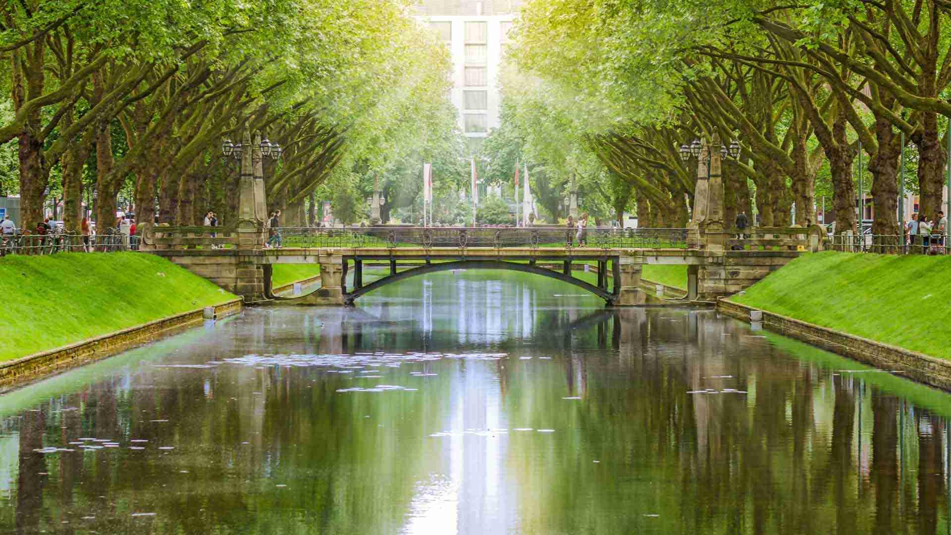 Rhein Insurance: Unabhängiger Versicherungsmakler und Finanzberater in Düsseldorf.